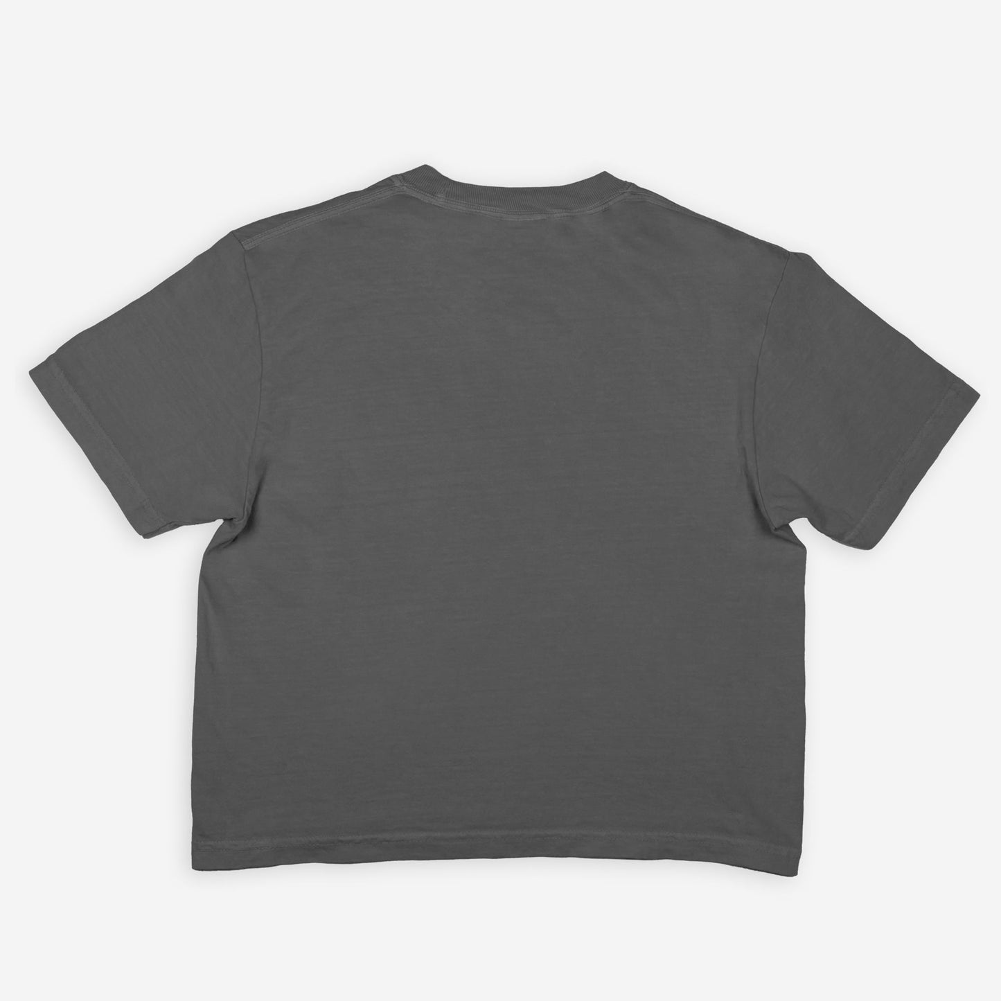 Easily distracted Boxy Tee