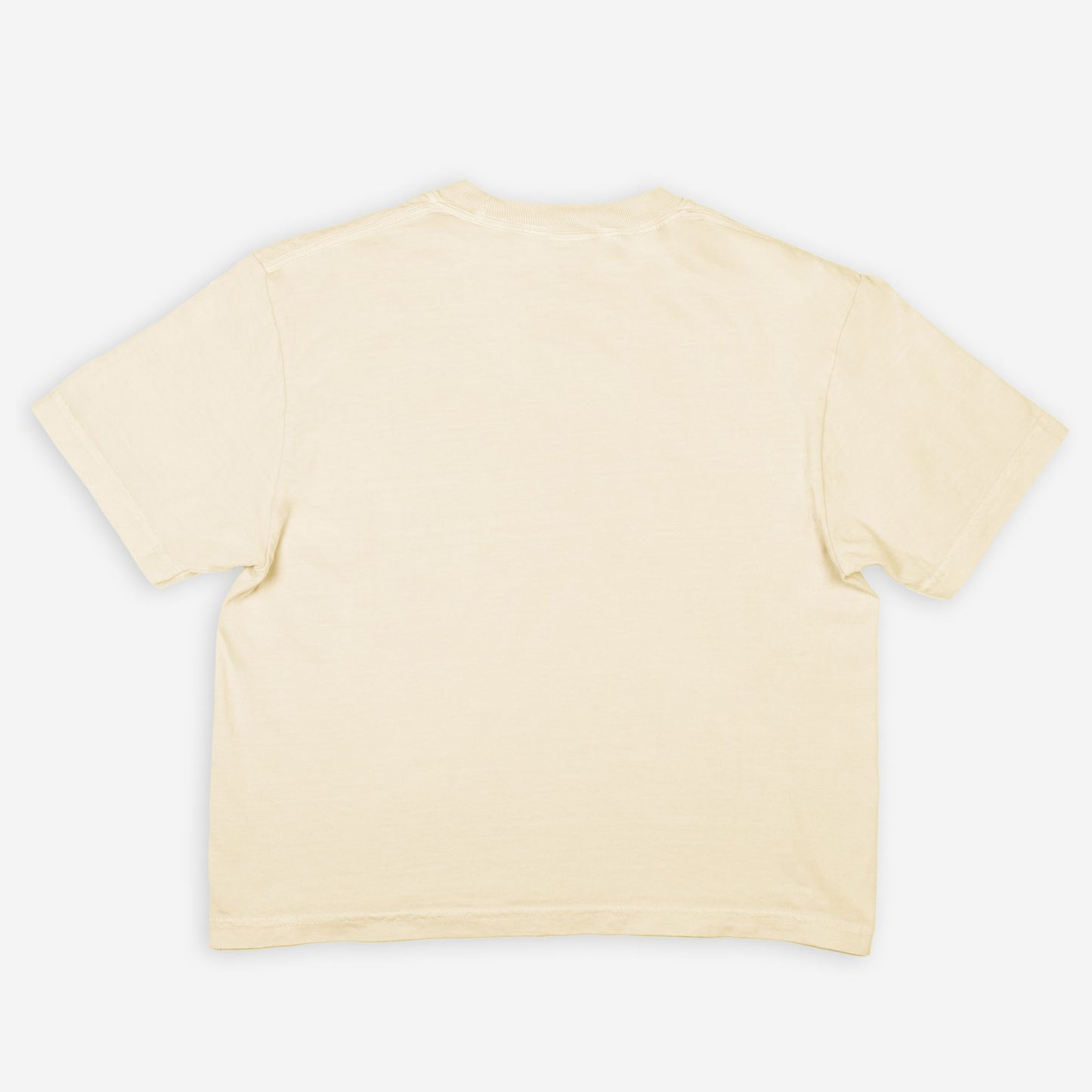 Easily distracted Boxy Tee